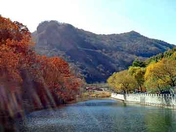 澳门天天免费精准大全，水洗高岭土